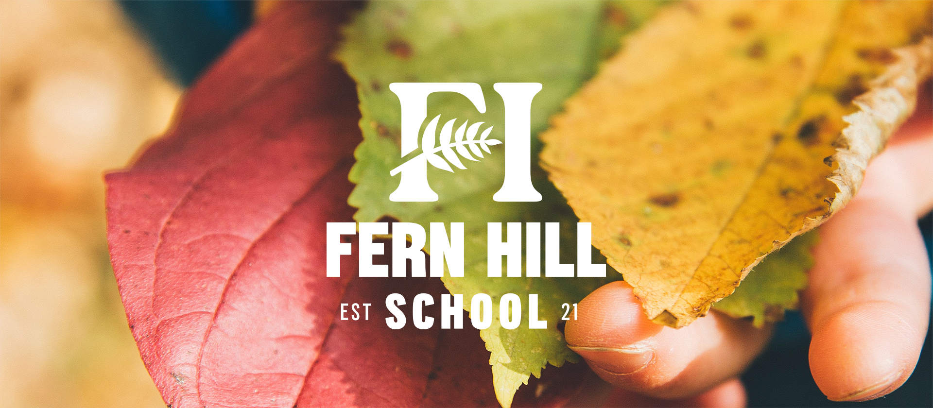 FernHillSchool-01.jpg